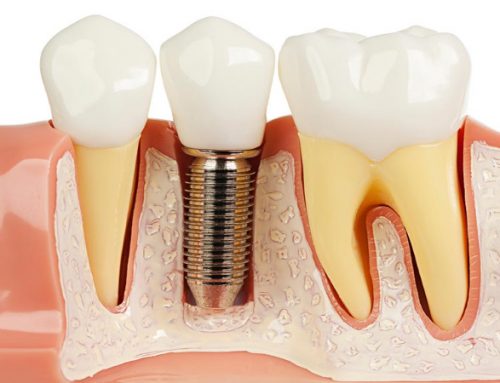 ΕΜΦΥΤΕΥΜΑΤΑ